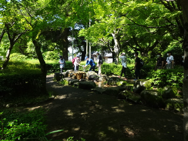 参加者が水に触れている様子