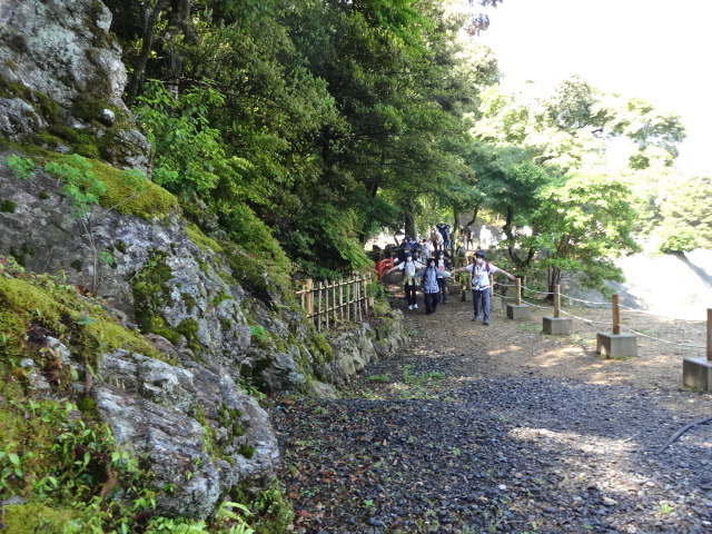 参加者が両腕を地面に対して水平にしながら歩いている様子