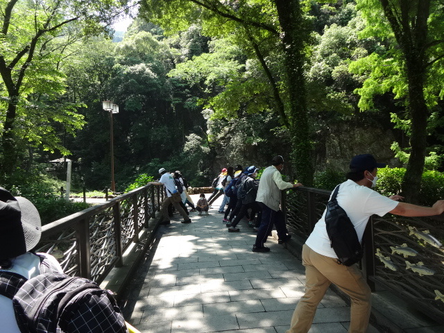 橋に手をついてストレッチ