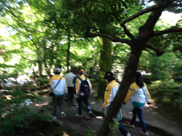 山道を参加者が歩いている様子