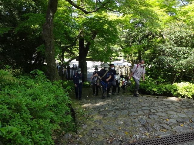 参加者が階段を上っている