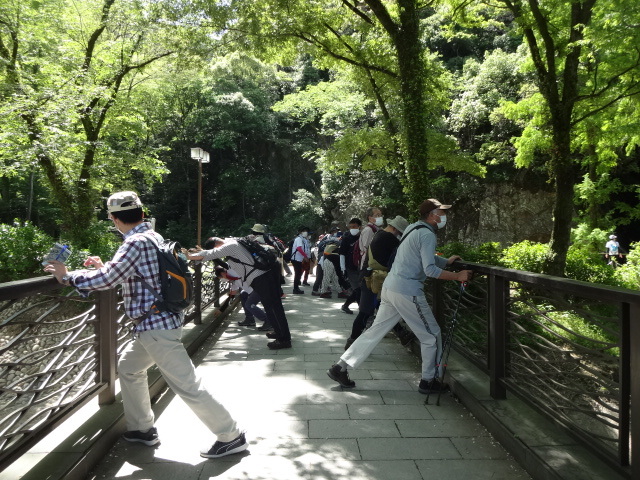 参加者が橋に手をついて足を伸ばすストレッチをしている