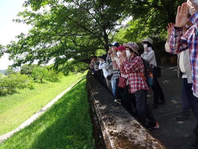 参加者が声を合わせて、川に向かってヤッホと言っている