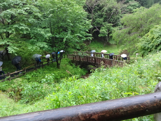 雨の中傘をさして橋を渡っている