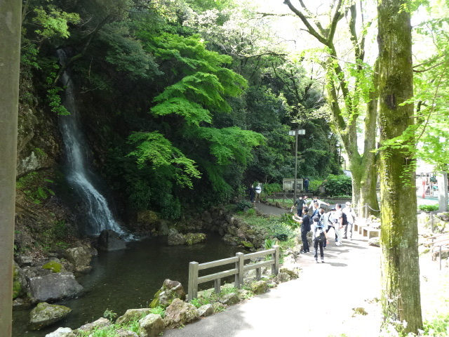 滝の近くを歩いている様子