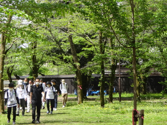 木の下を歩いている様子