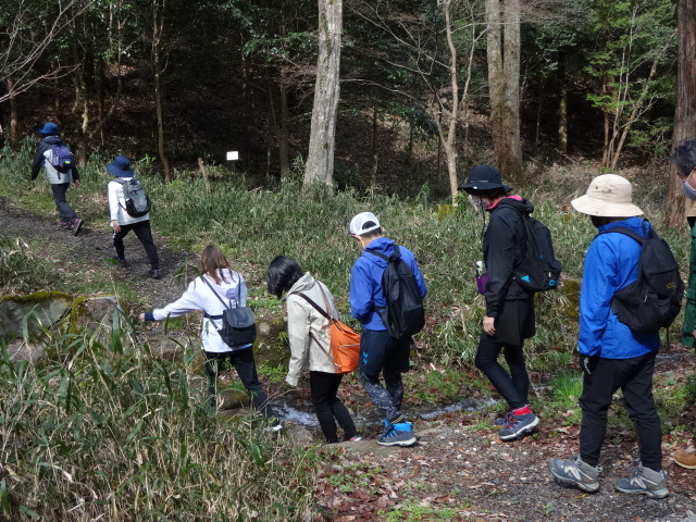 参加者が小川を渡っている