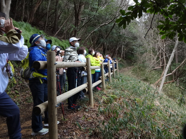 山から参加者がヤッホをしている