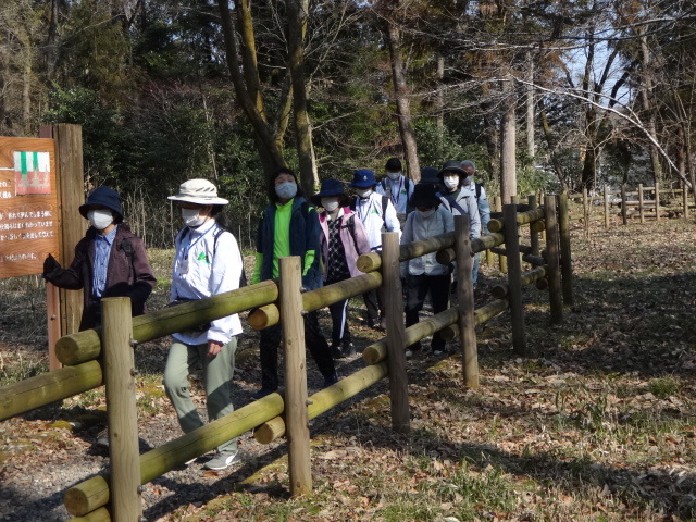 木々の間を参加者たちが歩いている