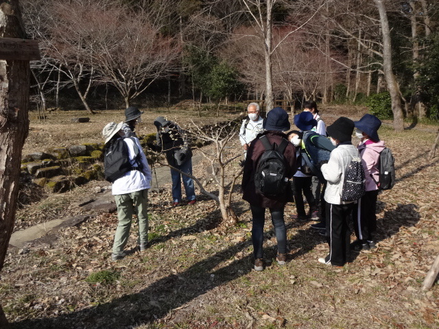 参加者たちが木の周りに集まって観察している