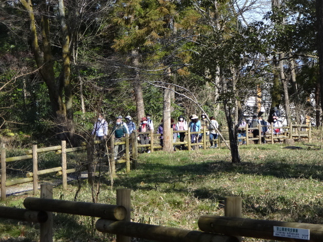 自然の中をウオーキングしている様子