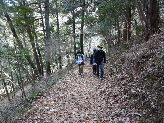 山道を実践指導者が先頭に立って登っている