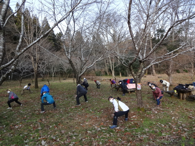 参加者が広場でストレッチをしている