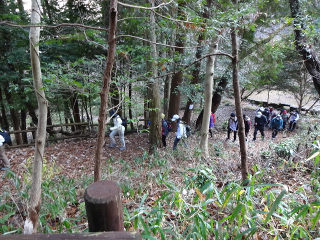 山の中へと登っていく参加者