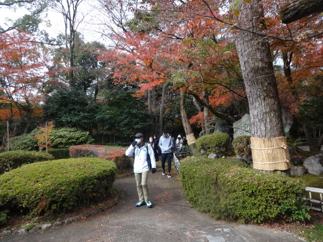 紅葉の間を歩いている