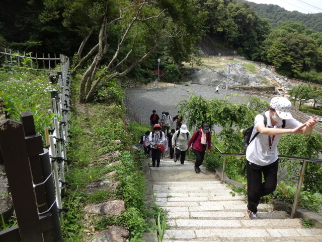 写真：ウオーキングで階段を上がっていく