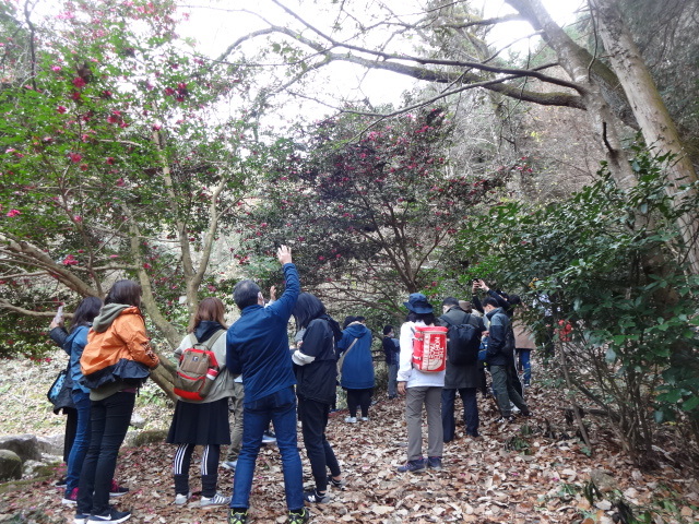 写真：百々ヶ峰