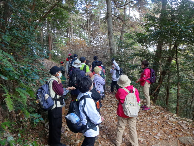 写真：心拍測定