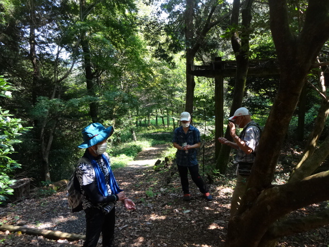 写真：心拍数計測