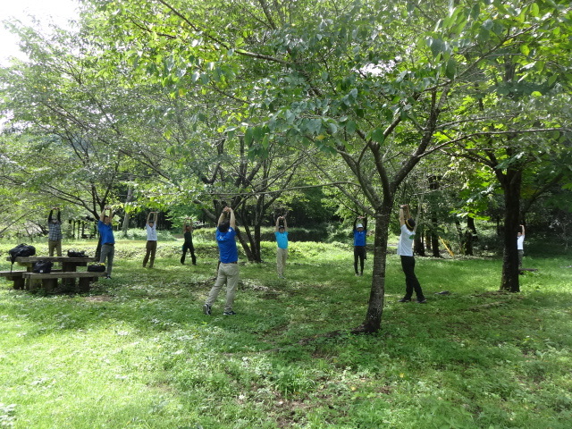 写真：ストレッチ