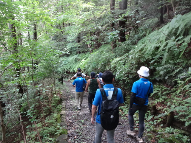 写真：ウオーキング