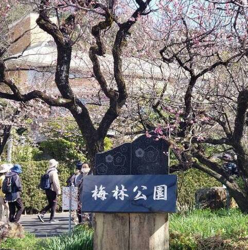 梅林公園