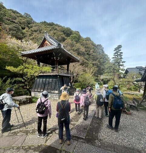 妙照寺