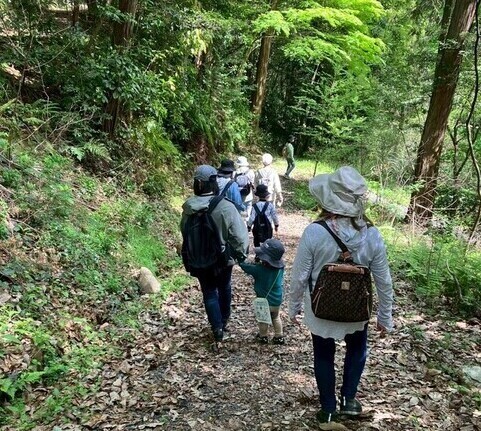 歩いてます
