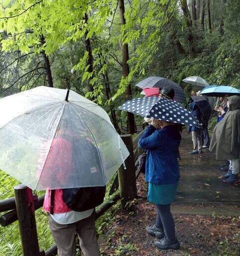 雨